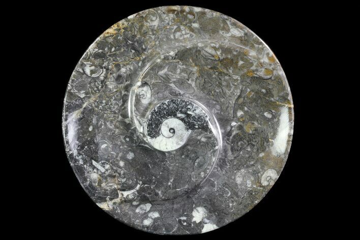 Round Fossil Goniatite Dish #74001